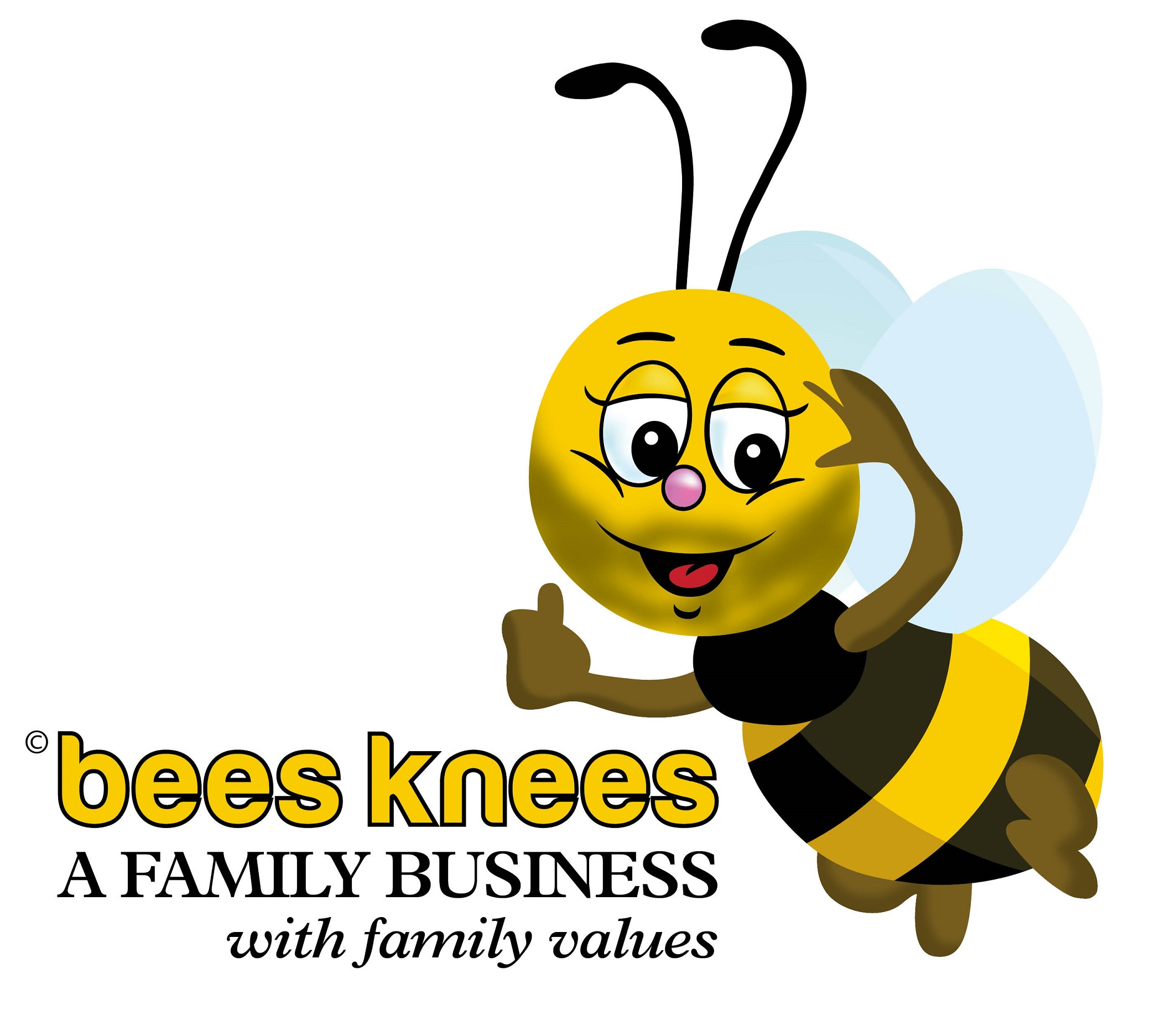 Metal and Stone Ltd t/a BeesKnees Pest & Property Services